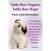 Teddy Bear Puppies, Teddy Bear Dogs! Facts and Information. the Complete Owner's Guide to the Dogs That Look Like Teddy Bears: Teddy Bear Dogs, Shicho