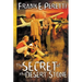 The Secret of The Desert Stone