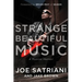 Strange Beautiful Music: A Musical Memoir