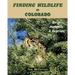 Finding Wildlife In Colorado: Birds, Mammals and Reptiles