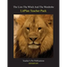 Litplan Teacher Pack: The Lion the Witch and the Wardrobe