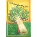 Seeds, Trees, Branches, & Leaves
