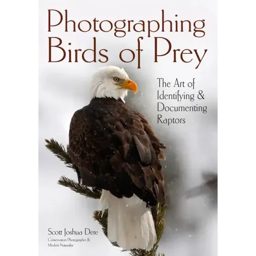 Photographing Birds of Prey: The Art of Identifying & Documenting Raptors