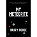 My Meteorite: Or, Without the Random There Can Be No New Thing
