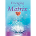 Emerging From the Matrix: Healing Human Trauma and Ending Global Enslavement