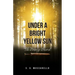 Under a Bright Yellow Sun: The Bronze Sword
