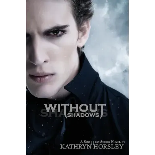 Without Shadows