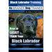 Black Labrador Training with the No BRAINER Dog TRAINER We Make it THAT Easy!: How to EASILY TRAIN Your Black Labrador