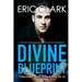 Divine Blueprint: What the World Calls Coincidence God Calls Providence