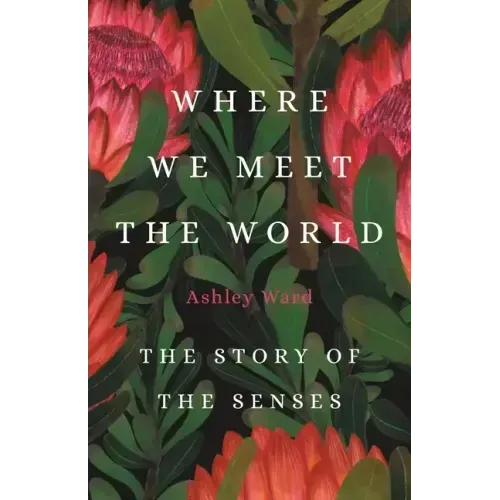 Where We Meet the World: The Story of the Senses