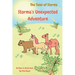 Storma's Unexpected Adventure