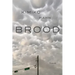 Brood