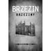 Brzezin Memorial Book