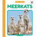 Meerkats