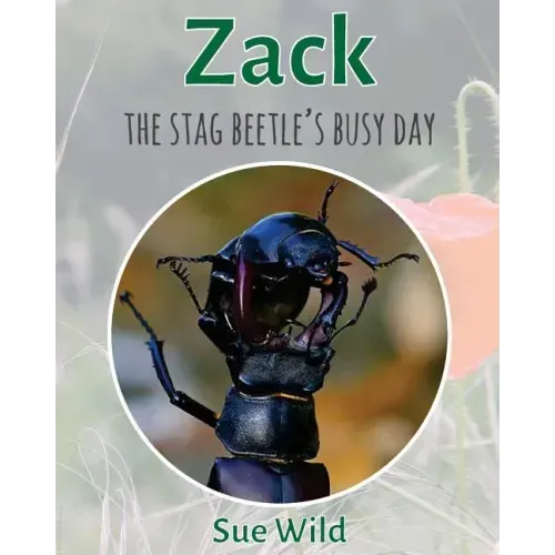 Zack: The stag beetle's busy day
