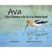 Ava: A Year of Adventure in the Life of an American Avocet