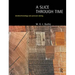 A Slice Through Time: Dendrochronology and Precision Dating