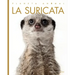 La Suricata