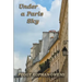 Under a Paris Sky