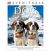 Eyewitness: Dog: Learn All about Dogs--From Wolves and Jackals to Family Pets and Show Dogs
