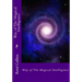 Way of The Magical Intelligence