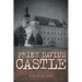 Prinz David's Castle