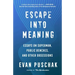 Escape Into Meaning: Essays on Superman, Public Benches, and Other Obsessions