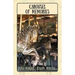 Carousel of Memories