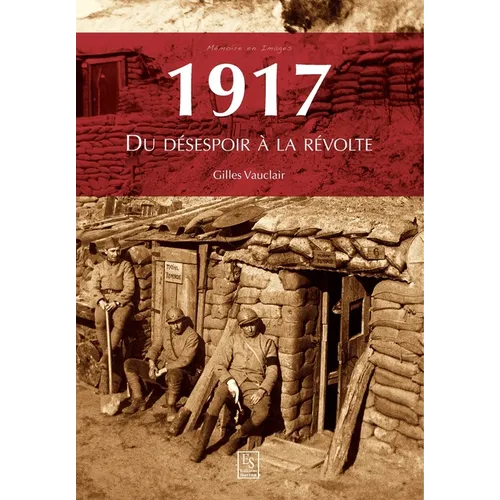 1917 - Du désespoir à la révolte