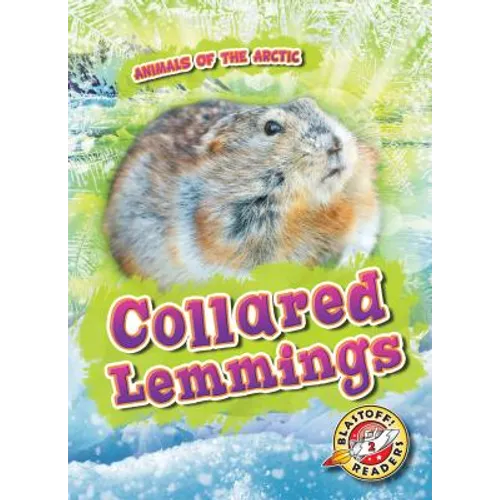 Collared Lemmings