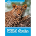 Wild Cats