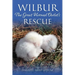 Wilbur: The Great Horned Owlet's Rescue
