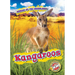 Kangaroos
