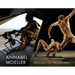 Annabel Moeller: Friends to Frontiers