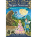 Moonlight on the Magic Flute