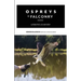 Ospreys in Falconry: Lessons Learned