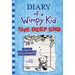 The Deep End (Diary of a Wimpy Kid #15): Volume 15
