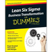 Lean Six SIGMA Business Transformation for Dummies