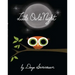 Little Owl's Night