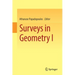 Surveys in Geometry I