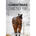 The Christmas Connemara Pony - The Coral Cove Horses Series