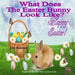 What Does The Easter Bunny Look Like?