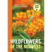 Wildflowers of the Midwest