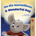 A Wonderful Day (Spanish English Bilingual Children's Book)