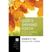 God's Shining Forth: A Trinitarian Theology of Divine Light