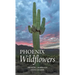 Phoenix Wildflowers: A Field Guide to the Common Shrubs, Herbs, Cacti and Ferns of the Phoenix Region