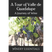 A Tour of Valle de Guadalupe: A Journey of Wine