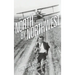Hitchcock's North by Northwest (hardback): The Man Who Had Too Much