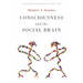Consciousness and the Social Brain