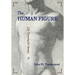 The Human Figure